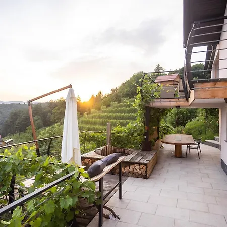 Vineyard Cottage Sonce Sentvid Pri Sticni Exterior photo