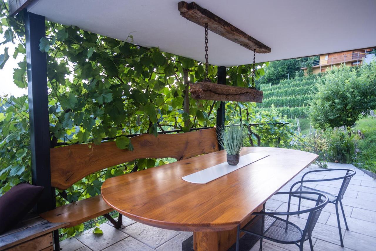 Hébergement de vacances Vineyard Sonce *